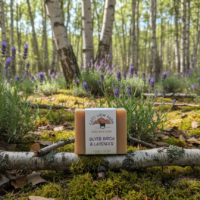 Silver Birch & Lavender Goat Milk Soap