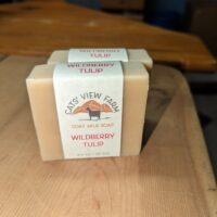 Wildberry Tulip